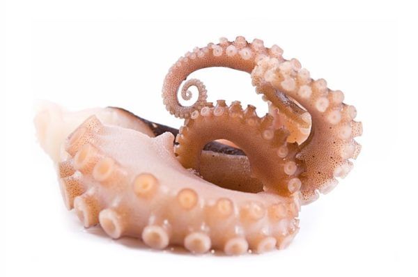 pulpo a feira